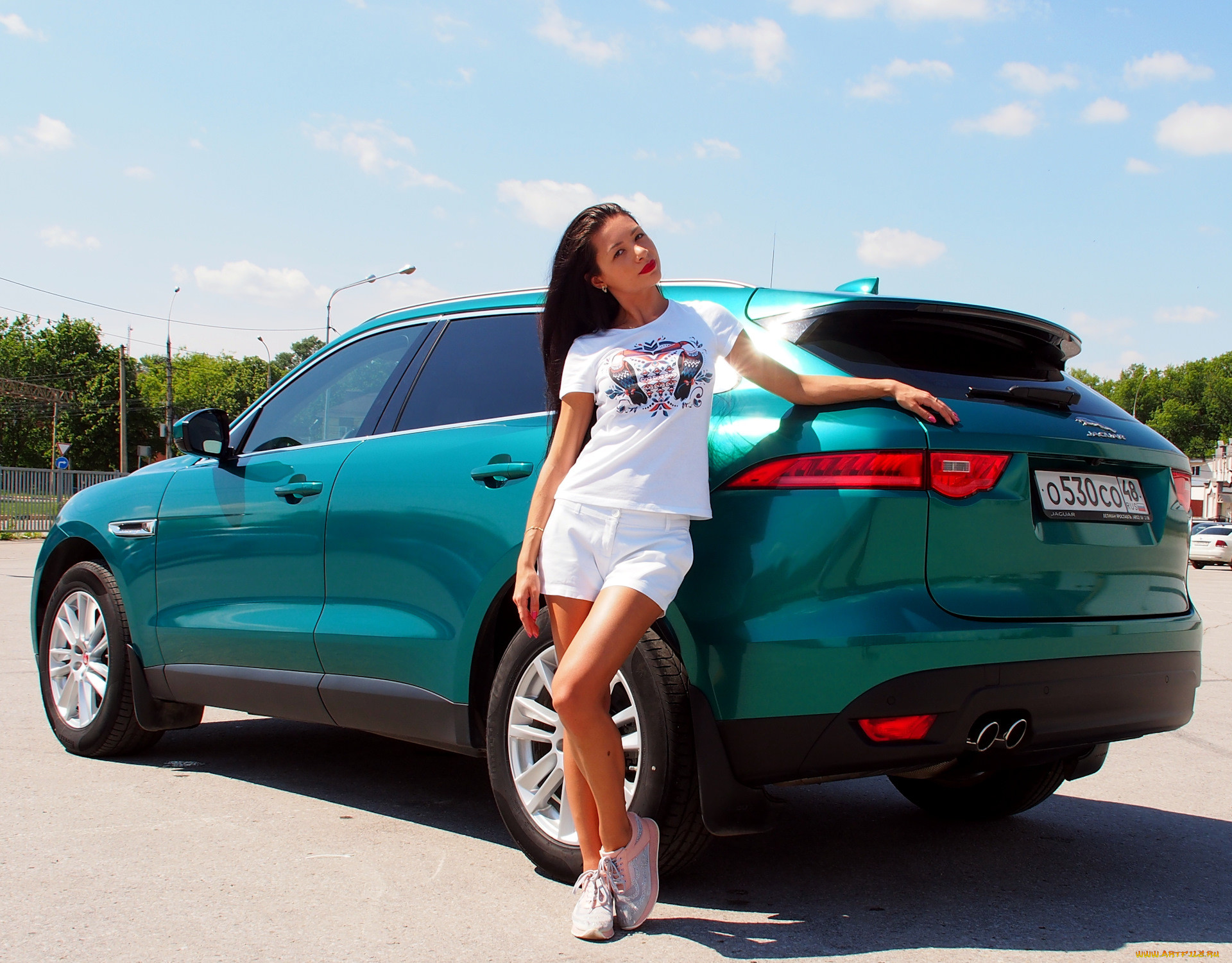 , -  , jaguar, f-pace, wild, cat